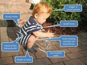 benefits of the squat